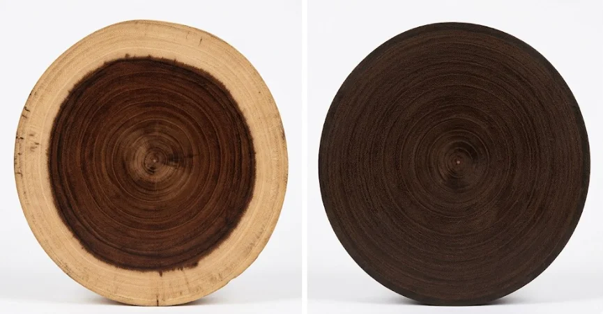 Cross-section comparison of natural hardwood heartwood versus uniformly modified Ultimate FBR wood durability classification