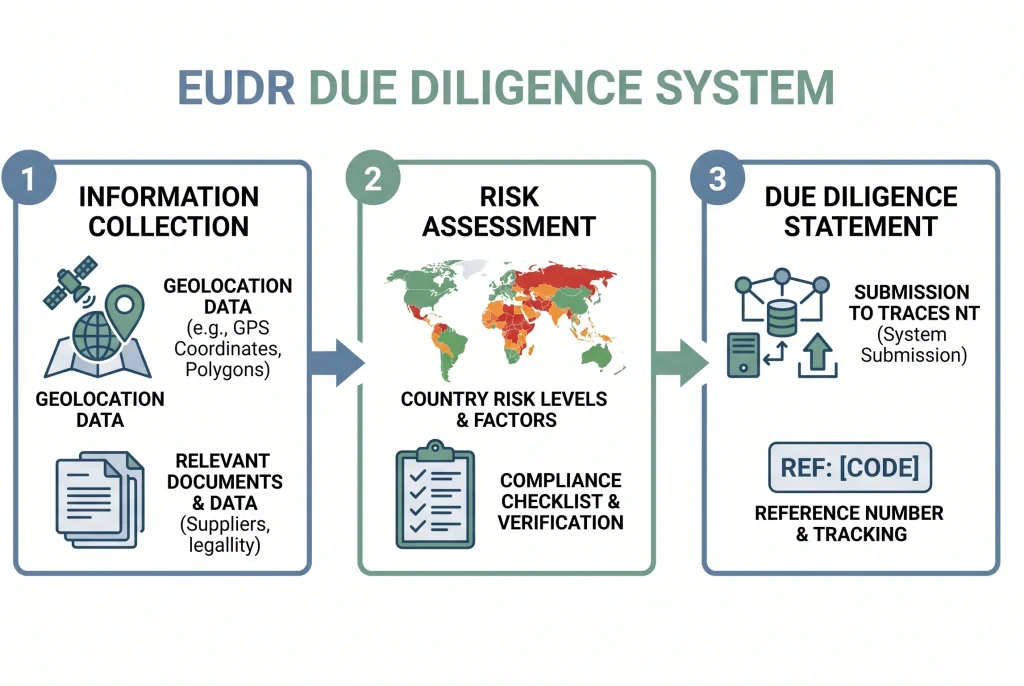 EUDR timber due diligence system diagram showing three steps — information collection, risk assessment, and Due Diligence Statement submission through TRACES NT